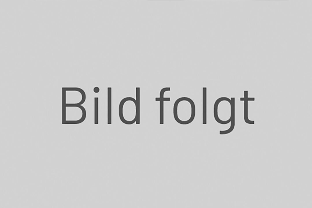 Bild-folgt 1620x1080px 72dpi.jpg